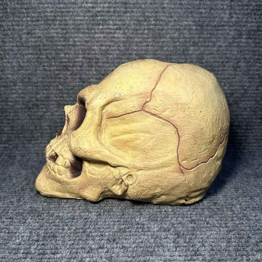 VTG Halloween Easter Unlimited Rubber Foam Filled Prop Skull‎ Life Like Deco